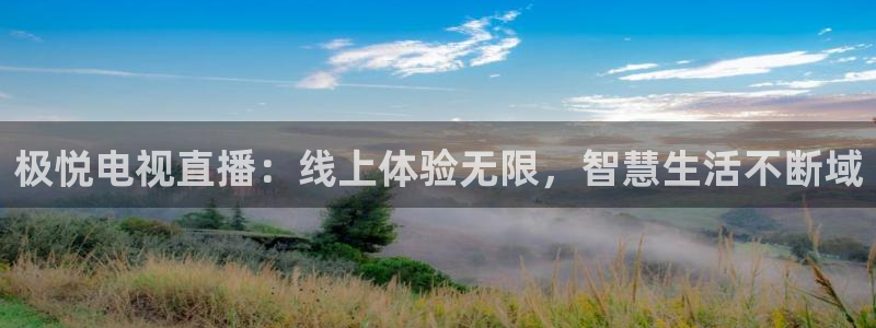 杏宇零能源集团：极悦电视直播：线上体验无限，智慧生活不断域
