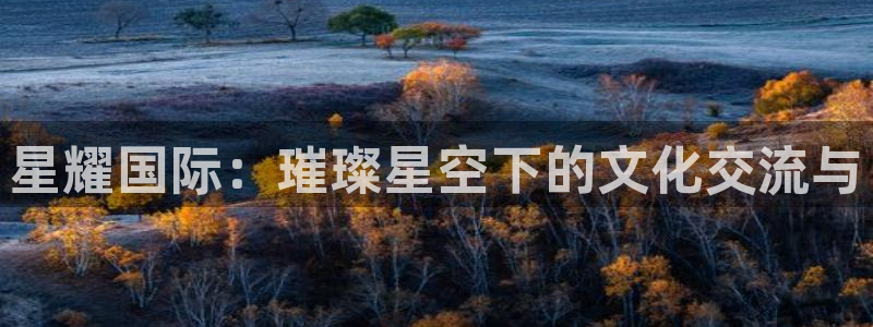 杏宇4：星耀国际：璀璨星空下的文化交流与