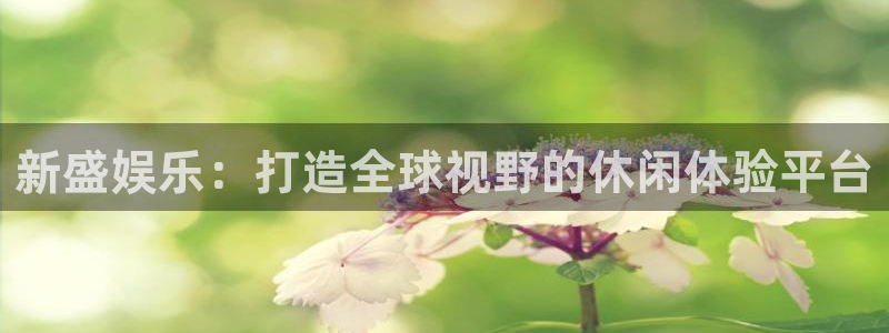 东莞市杏宇电子科技有限公司：新盛娱乐：打造全球视野的休闲体验平台
