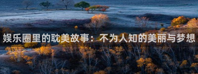 杏宇：娱乐圈里的耽美故事：不为人知的美丽与梦想