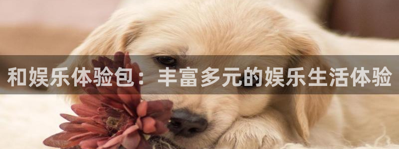 杏宇体育注册：和娱乐体验包：丰富多元的娱乐生活体验