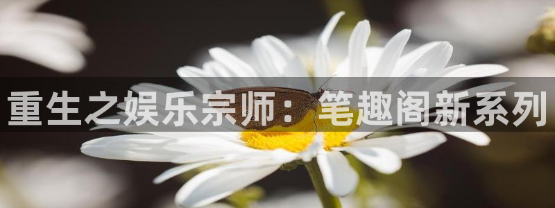 杏宇3登陆：重生之娱乐宗师：笔趣阁新系列