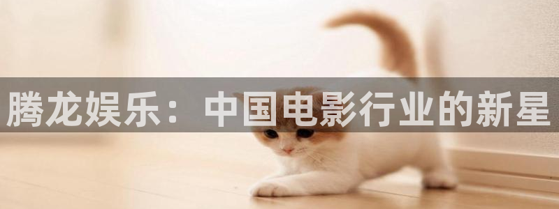 杏宇零能源集团：腾龙娱乐：中国电影行业的新星