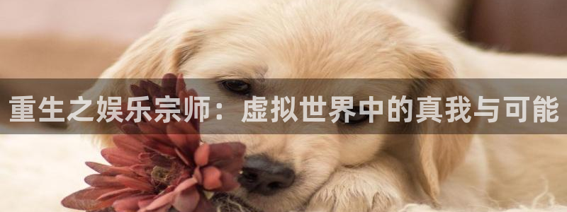 杏宇登录注册：重生之娱乐宗师：虚拟世界中的真我与可能