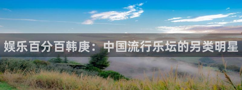 杏宇集团股票：娱乐百分百韩庚：中国流行乐坛的另类明星
