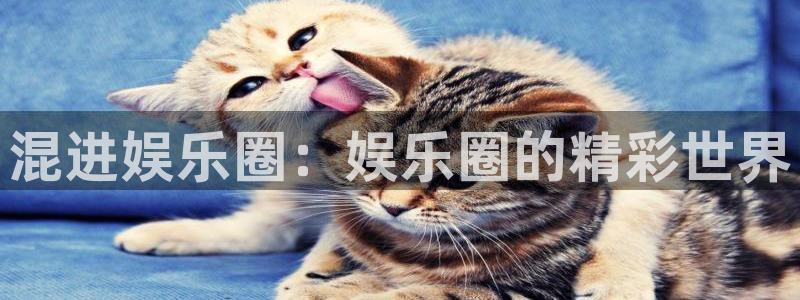 杏宇凯捷开号链接：混进娱乐圈：娱乐圈的精彩世界