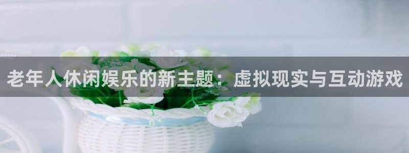 杏宇3登录：老年人休闲娱乐的新主题：虚拟现实与互动游戏