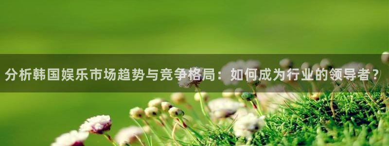 杏宇体育官网：分析韩国娱乐市场趋势与竞争格局：如何成为行业的领导者？