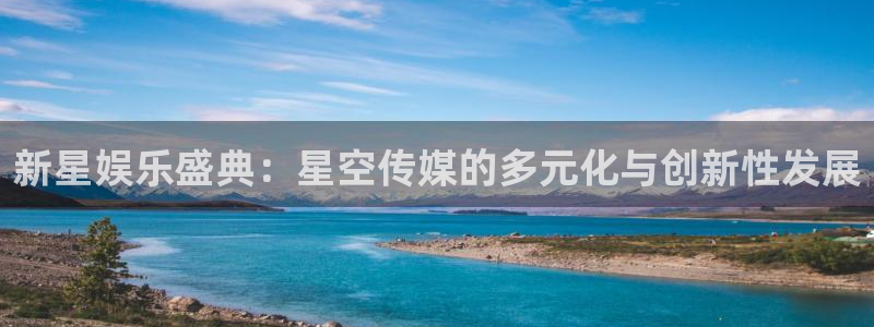 杏宇现在优惠多少：新星娱乐盛典：星空传媒的多元化与创新性发展