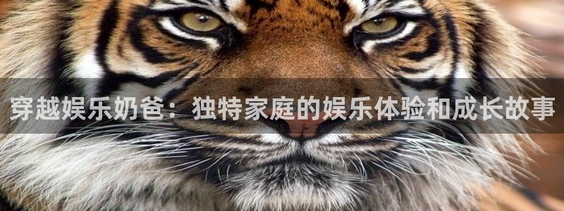 杏宇体育平台开号链接：穿越娱乐奶爸：独特家庭的娱乐体验和成长故事