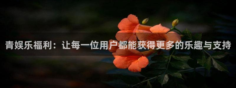 杏宇现在优惠多少：青娱乐福利：让每一位用户都能获得更多的乐趣与支持