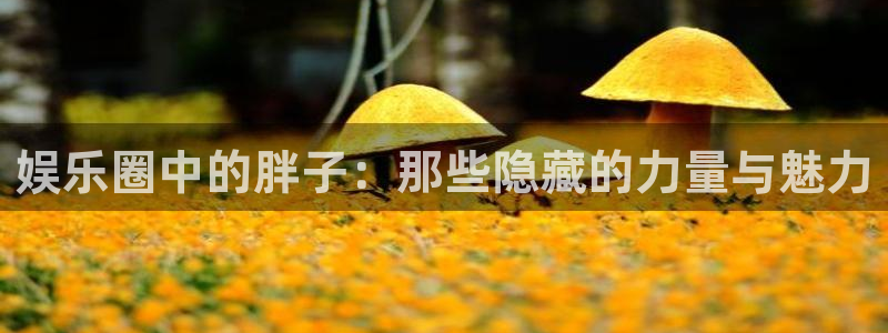 杏宇平台开户链接：娱乐圈中的胖子：那些隐藏的力量与魅力