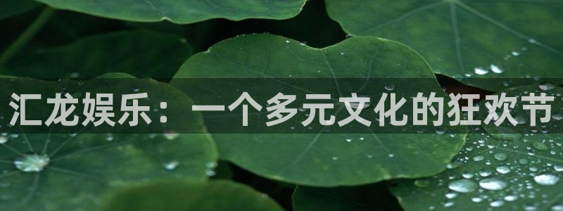 杏宇体育平台注册：汇龙娱乐：一个多元文化的狂欢节